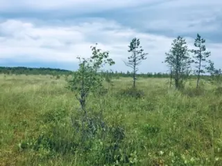 Instagram post 17920862728561673